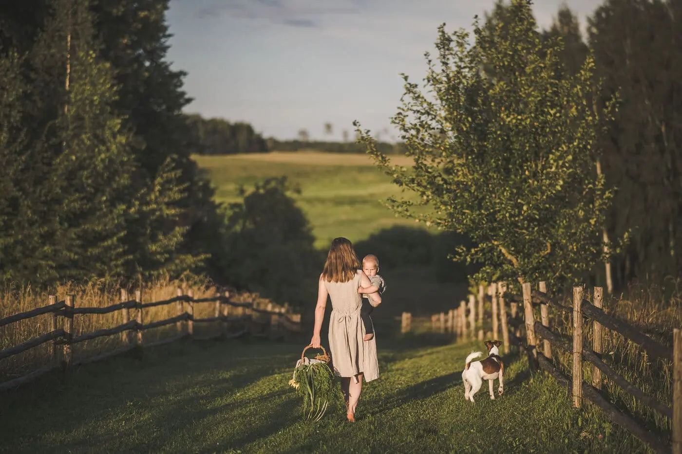 Linen - As Pure as The Nature of Love