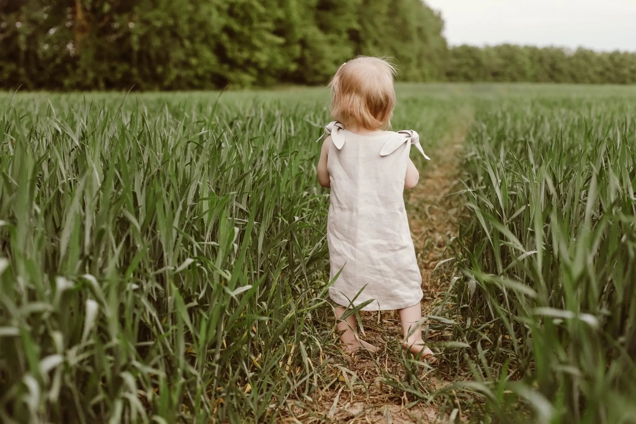 Little Linen Dress Agnes - Epic Linen luxury linen